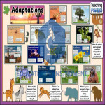 Types of Adaptations Chart